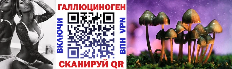 Псилоцибиновые грибы GOLDEN TEACHER  hydra маркетплейс  Аша 